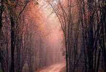 香港六合彩网站是否合法可靠?