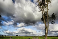 克罗地亚vs巴西的比赛有哪些精彩回放瞬间?