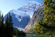 美金杯比分怎么看？最新赛况与解读全在这里